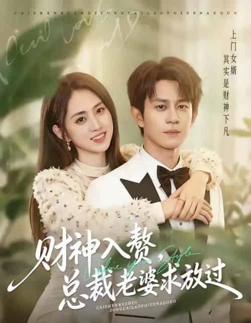 财神入赘，总裁老婆求放过（60集全）董劭辉＆李晓雨-紫橙网创项目网