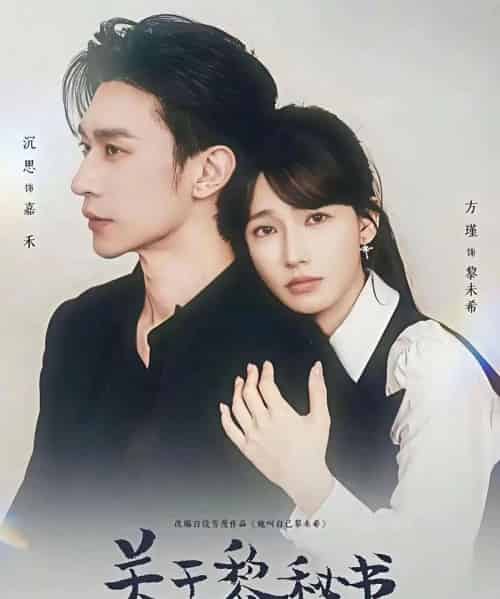 关于黎秘书的一切（60集全）沉思＆方瑾-紫橙网创项目网