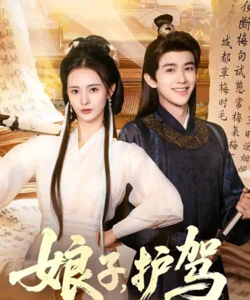 娘子护驾 娘子护驾