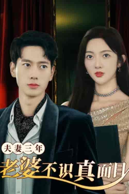夫妻三年老婆不识真面目＆苍穹之上（83集） - 紫橙阁短剧