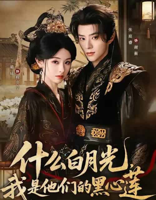 什么白月光，我是他们的黑心莲（79集全）张庭睿＆丁璐瑶-紫橙网创项目网