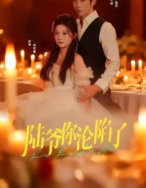 陆爷你沦陷了（78集全）曹天恺＆彭瑶-紫橙网创项目网