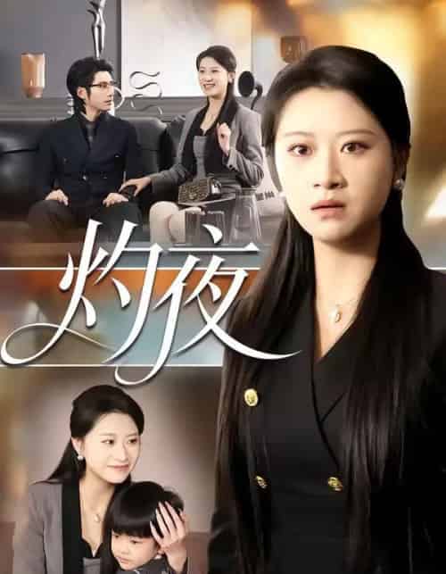 灼夜（78集全）程娜＆郝睿杰-紫橙网创项目网