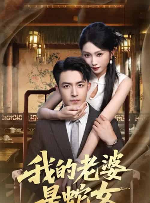 我的老婆是蛇女（52集）刘月涛＆宋佳音＆林十八 - 紫橙阁短剧
