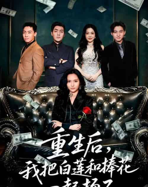 重生后我把白莲和手捧花一起扬了＆保姆女儿想用9.9换走我的千万捧花（47集全）刘洋＆李苗苗-紫橙网创项目网