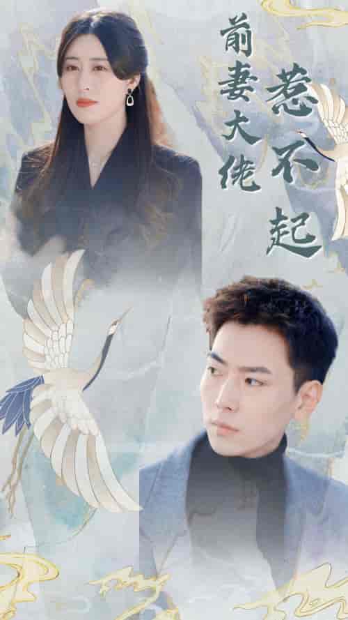 前妻大佬惹不起（77集）-紫橙网创项目网