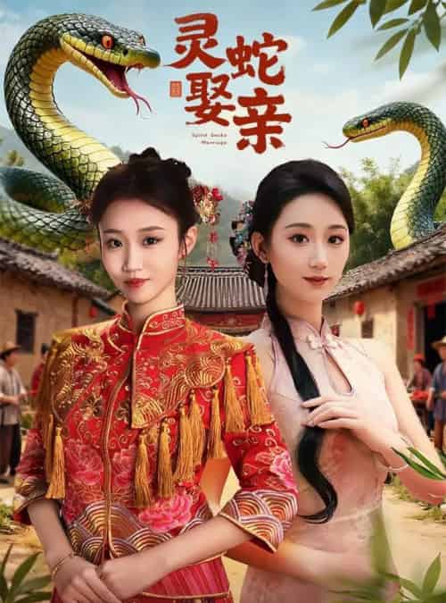 灵蛇娶亲＆灵蛇新娘（51集全）张炘童＆林仟芊-紫橙网创项目网