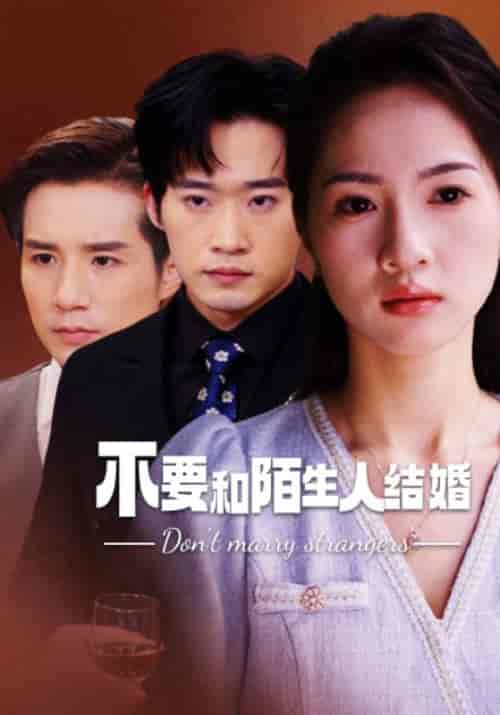 不要和陌生人结婚（90集） - 紫橙阁短剧
