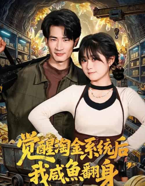 觉醒淘金系统后,我咸鱼翻身(70集全)何俊雄&何宇涵-紫橙网创项目网