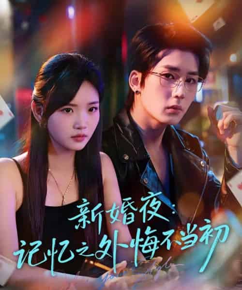新婚夜：记忆之外悔不当初（70集全）向明＆李碧蓉-紫橙网创项目网
