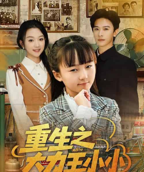 重生之大力王小小(80集全)张云庆&程昕玥-紫橙网创项目网