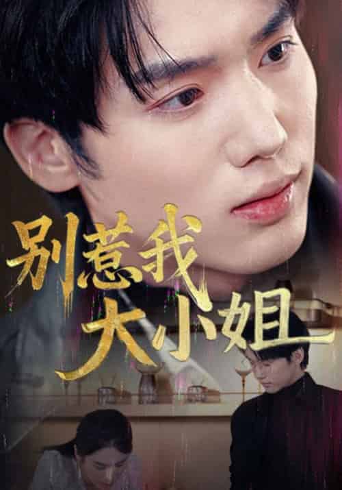 别惹我大小姐（40集全） - 紫橙阁短剧