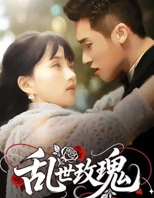 乱世玫瑰（73集） - 紫橙阁短剧