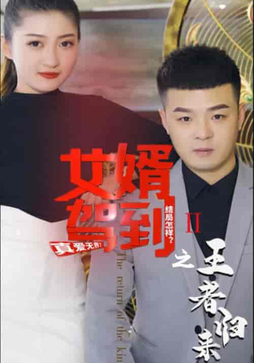 女婿驾到之王者归来（40集全）李佳越＆杨琦 - 紫橙阁短剧