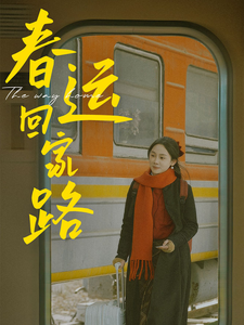 春运回家路（32集） - 紫橙阁短剧