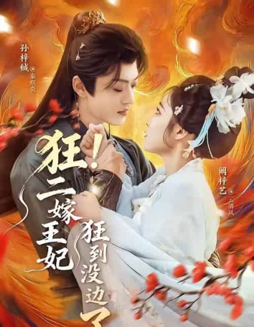 狂!二嫁王妃狂到没边了(72集全)孙梓铖&阚梓艺-紫橙网创项目网