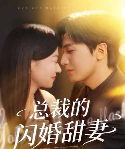 总裁的闪婚甜妻（61集全）胡家豪＆何田田-紫橙网创项目网