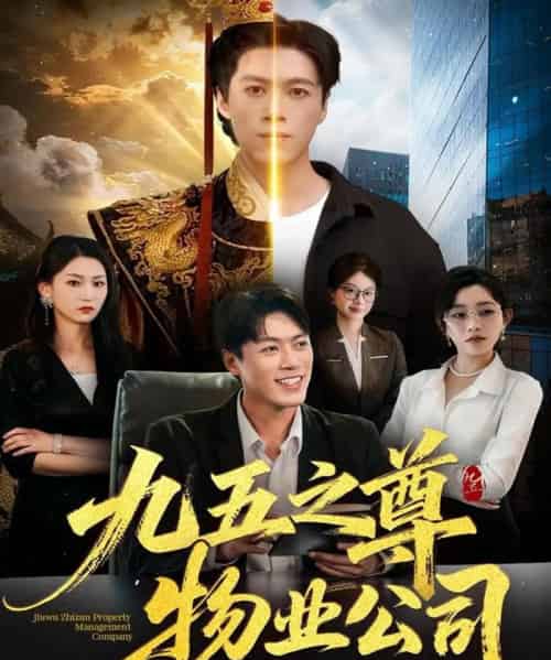 九五之尊物业公司（80集全）路露＆段冬浩-紫橙网创项目网