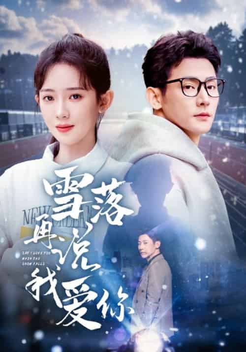雪落再说我爱你 雪落再说我爱你