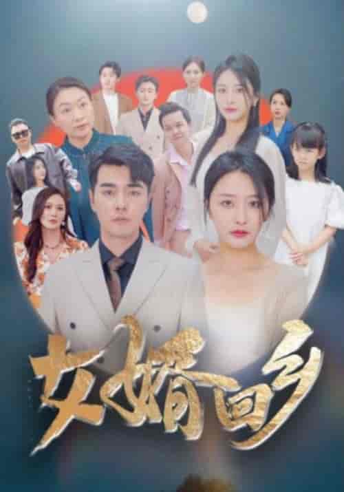 女婿回乡（120集） - 紫橙阁短剧