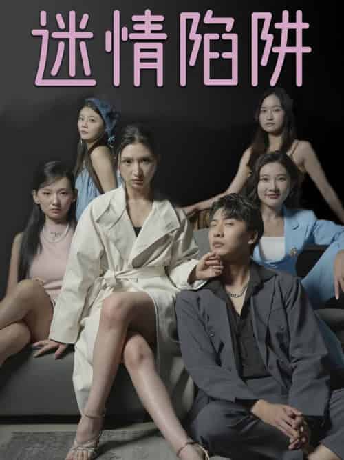 迷情陷阱（38集全） - 紫橙阁短剧