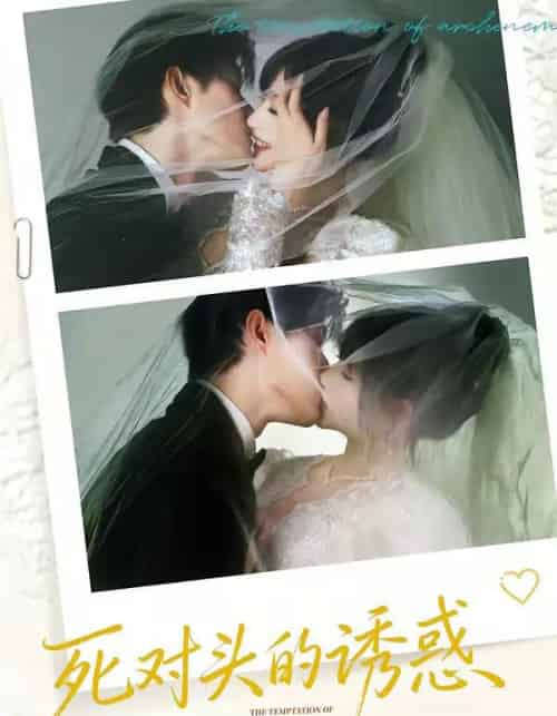 死对头的诱惑（77集全）谢熠柯＆刘浔-紫橙网创项目网