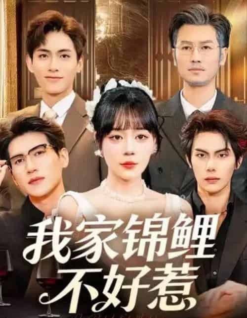 我家锦鲤不好惹（75集全）孙蔚琳＆马义炎-紫橙网创项目网