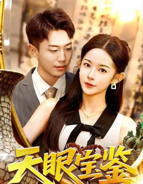 天眼宝鉴（108集全）杨林涛＆赵书苑-紫橙网创项目网