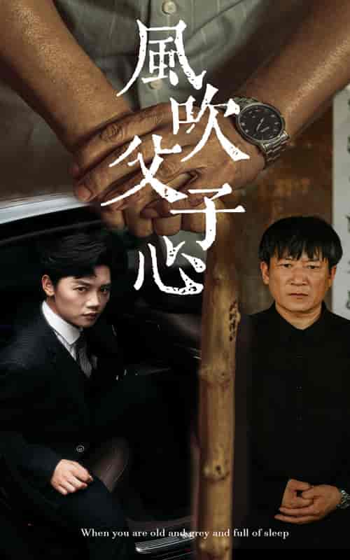 风吹父子心（65集） - 紫橙阁短剧