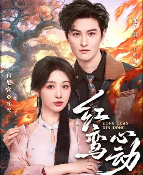 红鸾心动（60集全）魏子翔＆白旭含-紫橙网创项目网