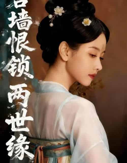 宫墙恨锁两世缘（47集全）Ai-紫橙网创项目网