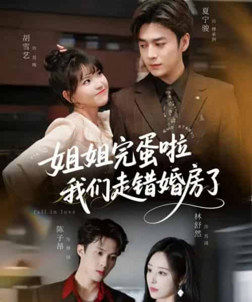 姐姐完蛋啦我们走错婚房了（97集全）夏宁骏＆胡雪艺-紫橙网创项目网