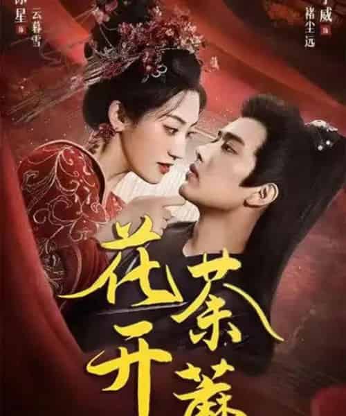 花开荼蘼（88集全）王宇威＆王冰星-紫橙网创项目网