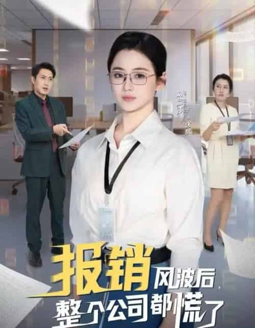 报销风波后，整个公司都慌了（60集全）刘韶袆＆刘晓兵-紫橙网创项目网