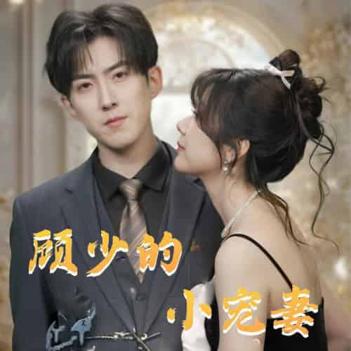 顾少的小宠妻（90集全）赵阿东＆钱思怡 - 紫橙阁短剧