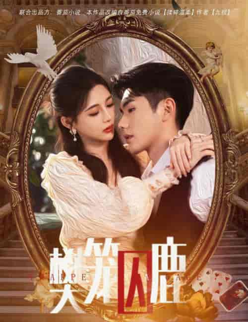 樊笼囚鹿＆偏执大佬的金丝雀（60集全） - 紫橙阁短剧