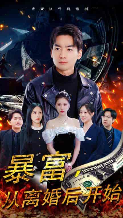 暴富，从离婚后开始（97集）-紫橙网创项目网