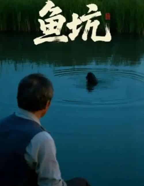 鱼坑 鱼坑
