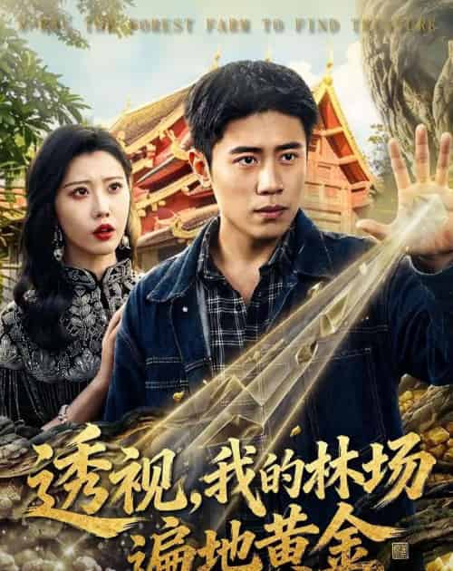 透视,我的林场遍地黄金(85集全)周越&周子琪-紫橙网创项目网