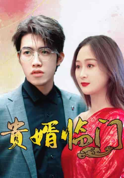 贵婿临门（104集全）张会＆林初夏 - 紫橙阁短剧