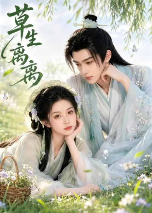 草生离离（66集全）AI-紫橙网创项目网