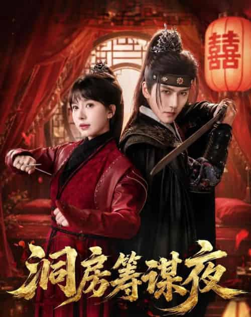 洞房筹谋夜(50集全)袁在峤&蒋开鑫-紫橙网创项目网