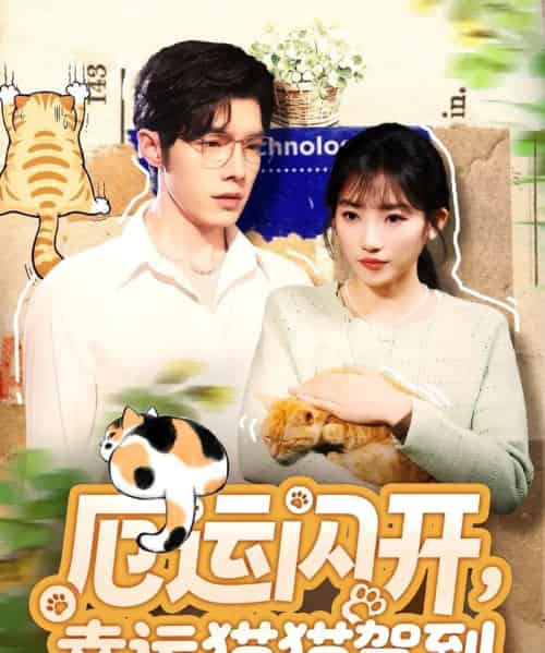 厄运闪开，幸运猫猫驾到（62集全）高铭屿＆孙丛珊-紫橙网创项目网