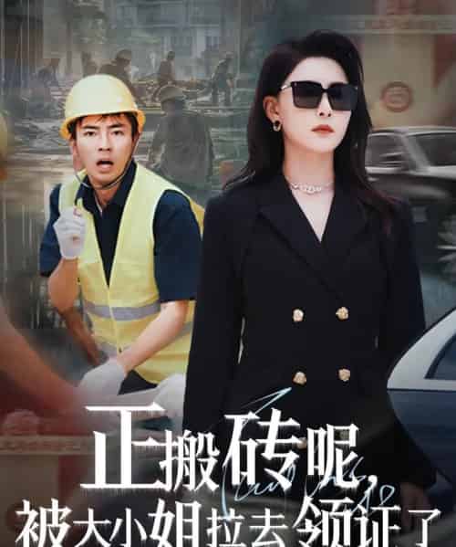 正搬砖呢,被大小姐拉去领证了 正搬砖呢,被大小姐拉去领证了