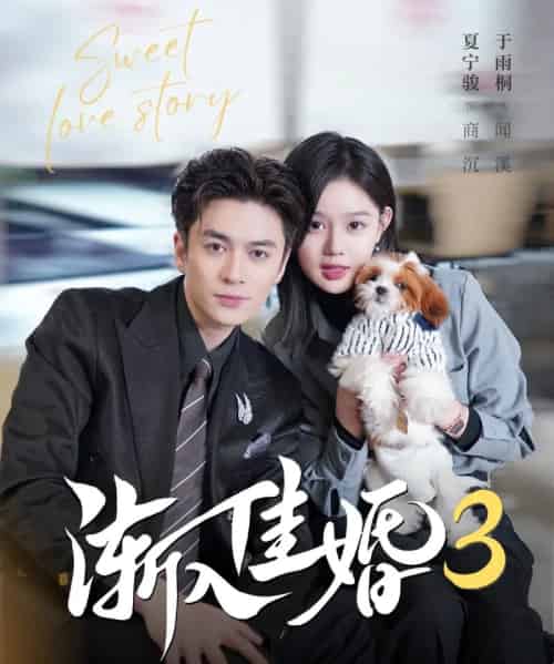 渐入佳婚3（60集全）夏宁骏＆于雨桐-紫橙网创项目网