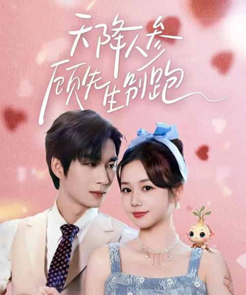 天降人参顾先生别跑(60集全)余弦&雷馥缦-紫橙网创项目网