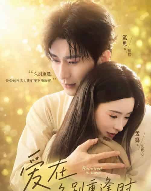 爱在久别重逢时（85集全）沉思＆孟娜-紫橙网创项目网