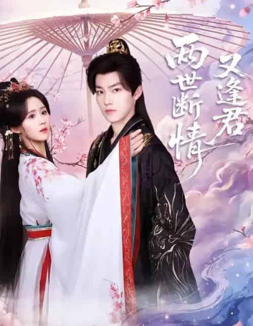两世断情又逢君（71集全）周凌丰＆书雪漫 - 紫橙阁短剧