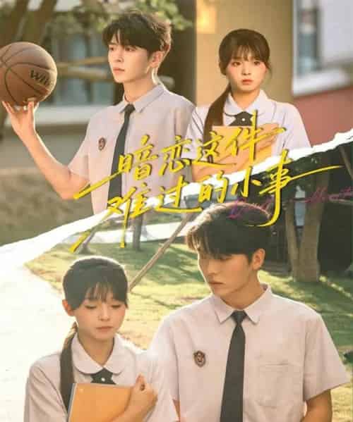 暗恋这件难过的小事(80集全)卡戎&陈舒宜-紫橙网创项目网