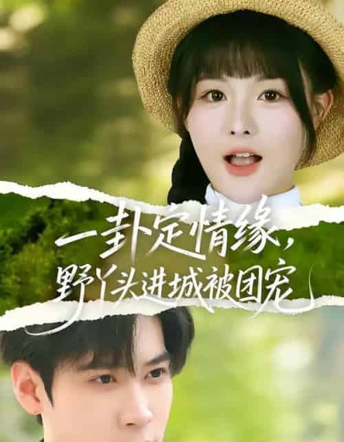 一卦定情缘，野丫头进城被团宠（61集全）胡金池＆杨晨（女）-紫橙网创项目网
